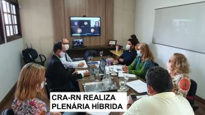 CRA-RN realiza primeira plenária de 2021