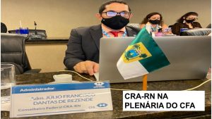 Read more about the article CFA reúne conselheiros na plenária de março