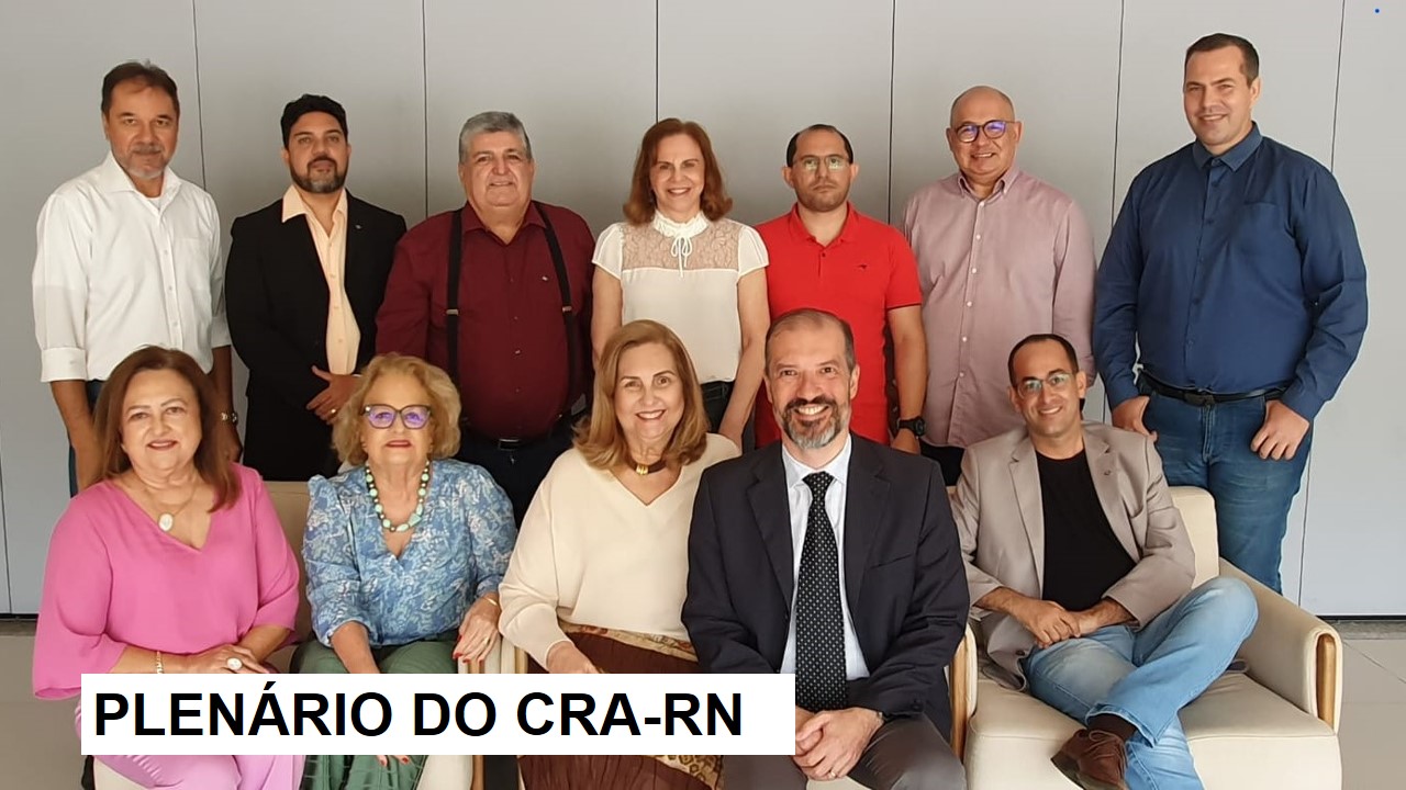 You are currently viewing CRA-RN realiza última plenária de 2022